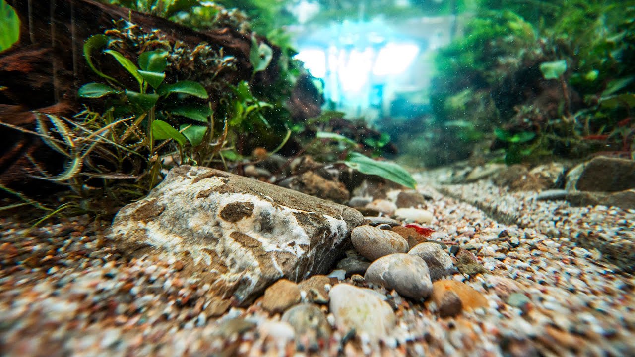 THE BEST SANDS AND GRAVELS FOR AQUASCAPING..?