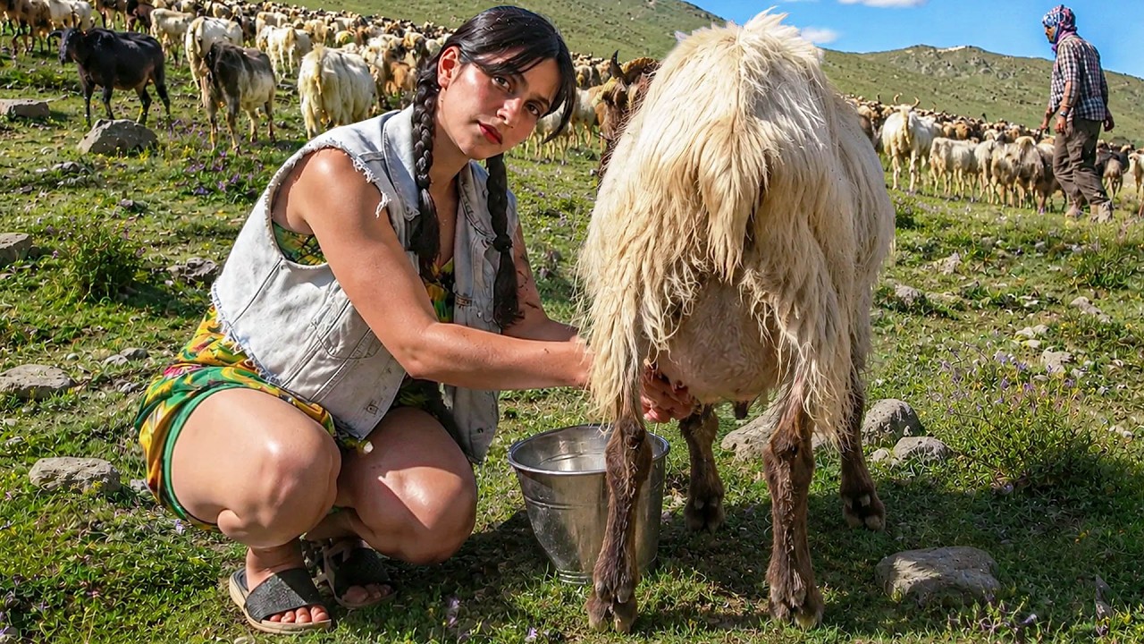 Exploring Iran's Nomadic Lifestyle: village girl peaceful life in Alborz mountain