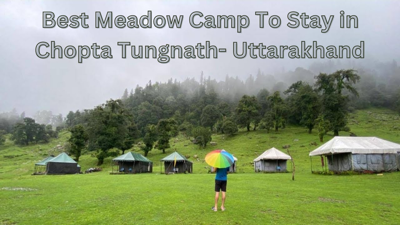 Best Meadow Camp To Stay in Chopta Tungnath- Uttarakhand