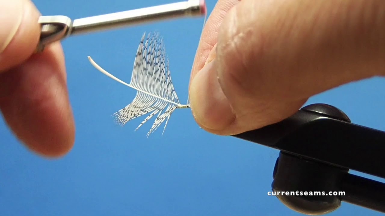 Partridge & Light Cahill Tying Video