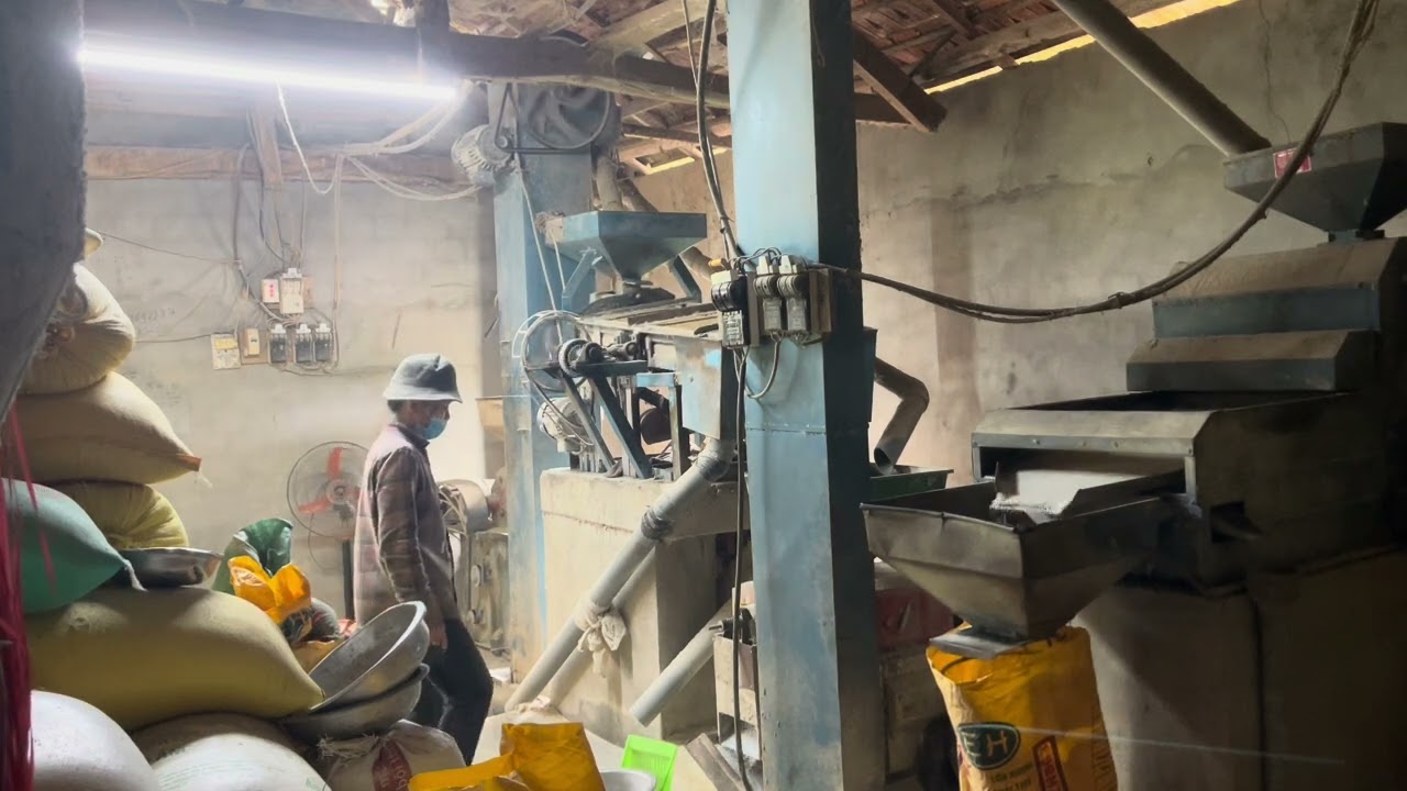 Khi mình chọn sống cho hiện tại