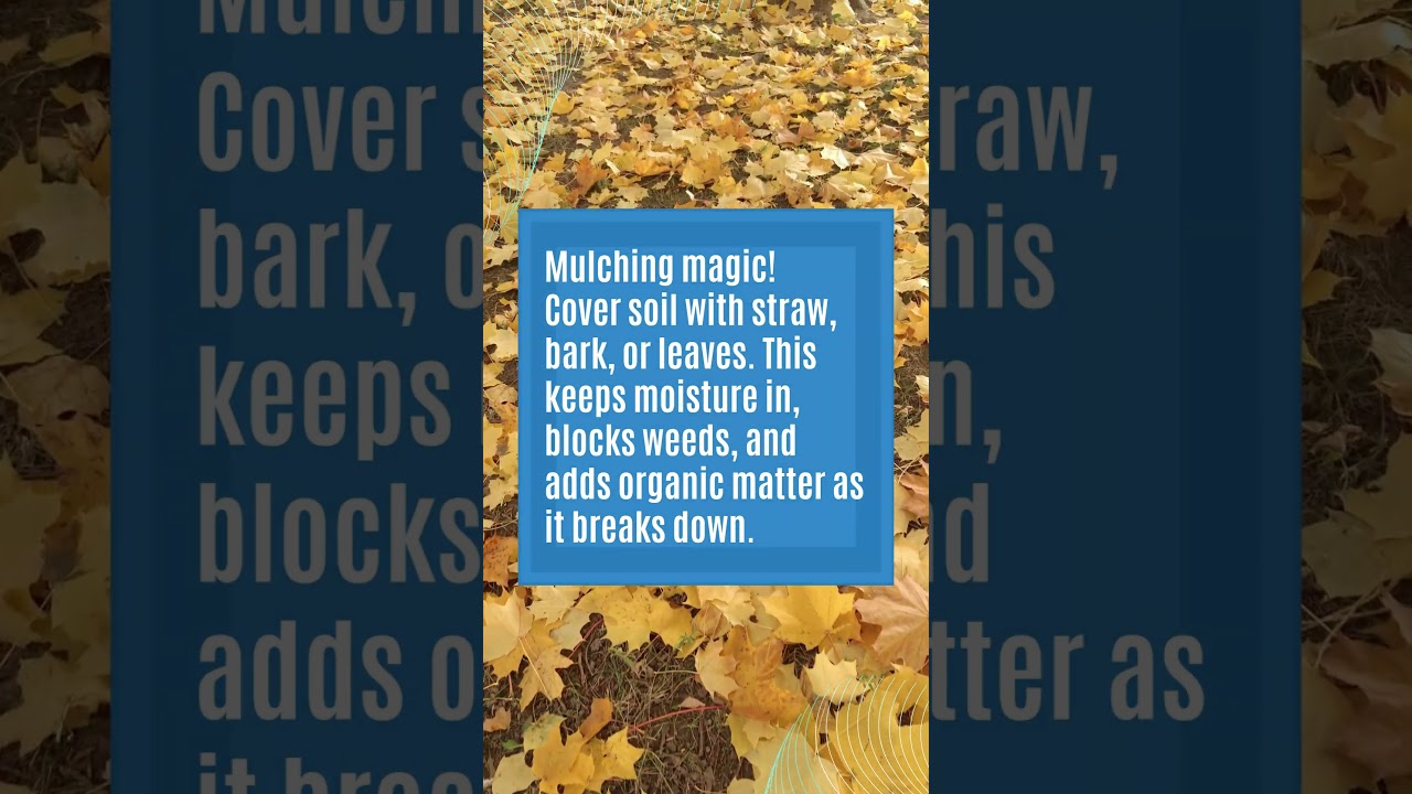 Mulch Your Way to Healthier Soil! #springscientific #farming #soilquality