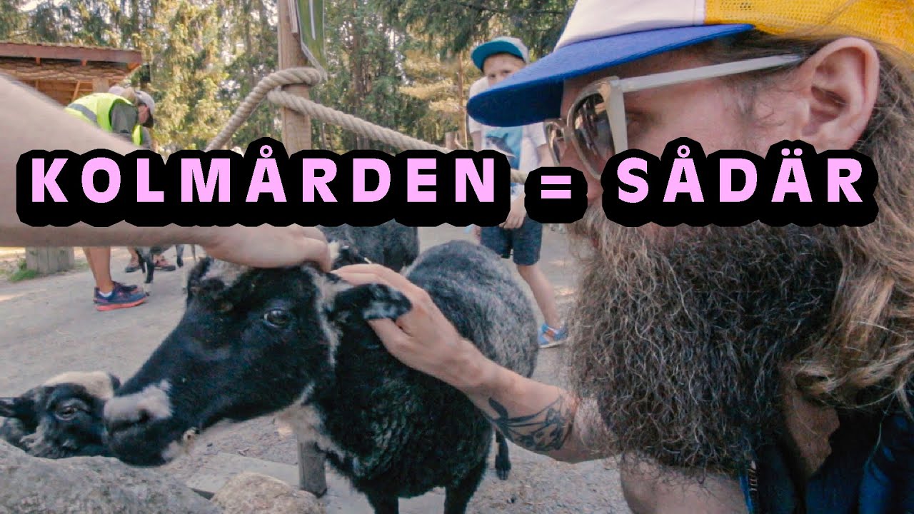 Kolmården med Stanley och Betnér VLOGG