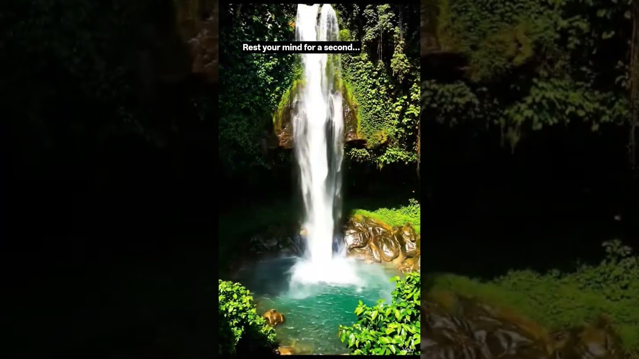 reset your mind for a second...