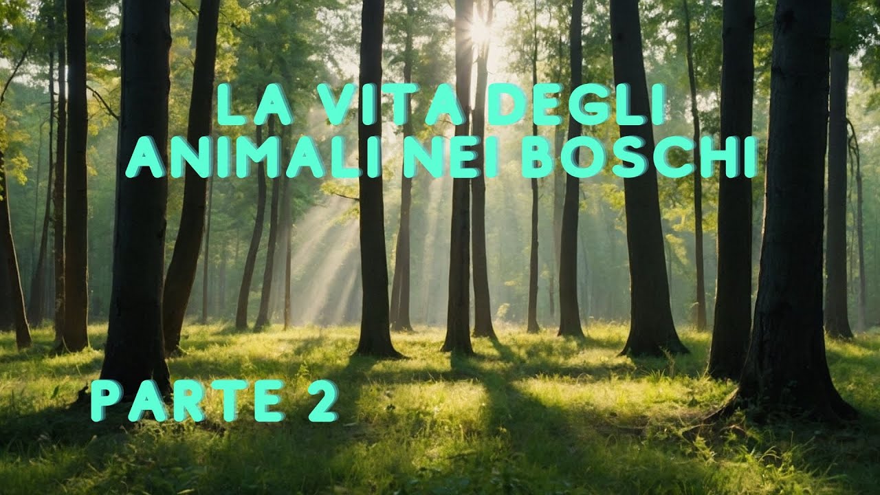 Cinghiali, cervi, volpi, faine, ecc. nel bosco. Riprese con fototrappola. Trail cam. Parte 2