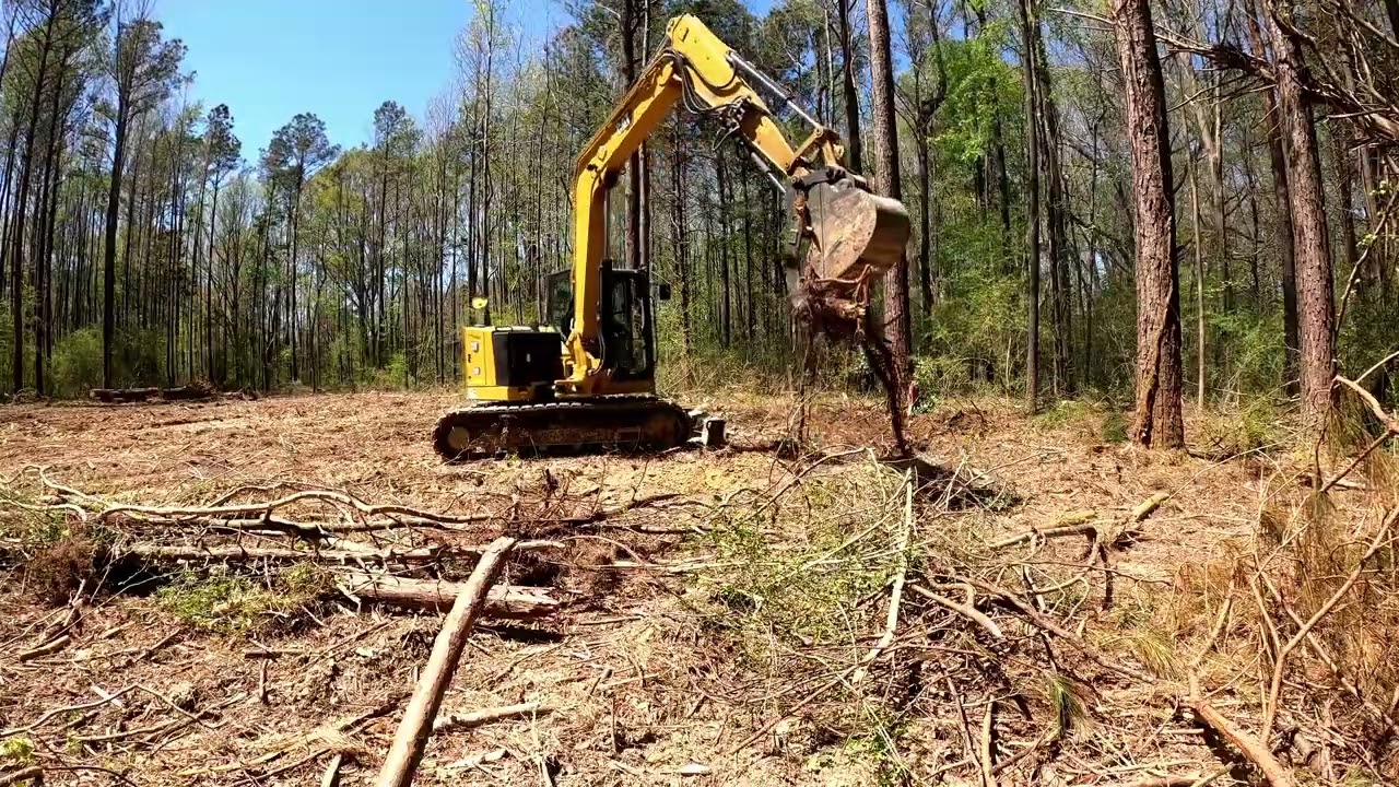309 More clearing and more Problems!