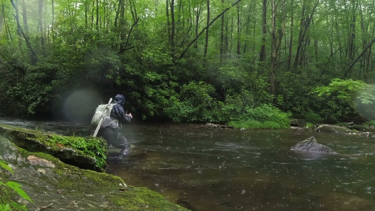 Rainy Day Fly Fishing ASMR - Big Snowbird Creek, Western North Carolina