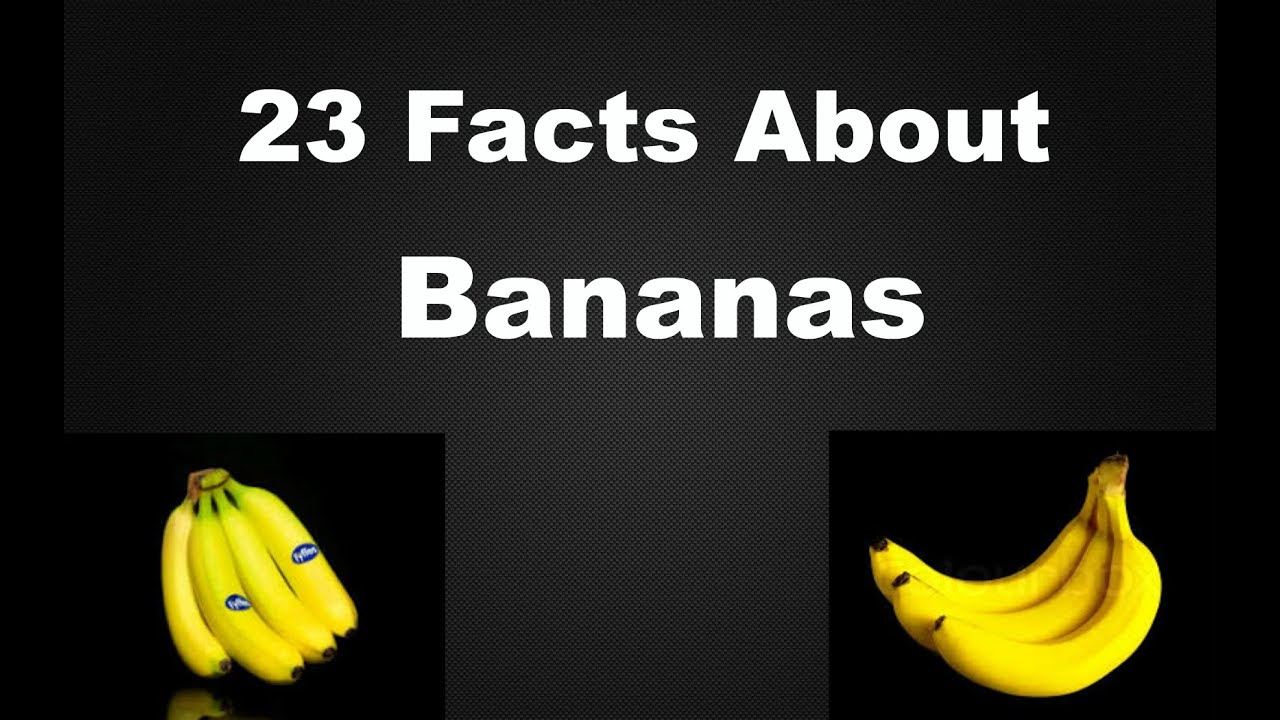 23 Interesting Facts About Bananas