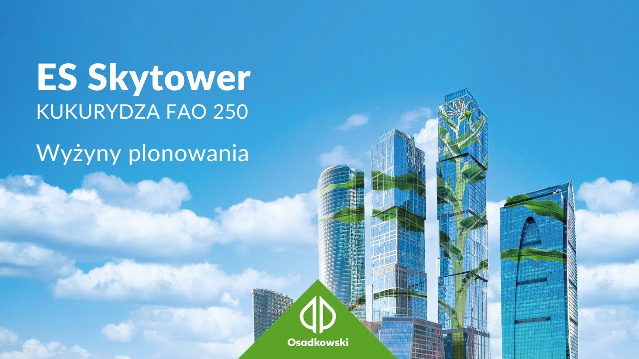 Kukurydza 🌽 𝗘𝗦 𝗦𝗸𝘆𝘁𝗼𝘄𝗲𝗿 - Wyżyny plonowania