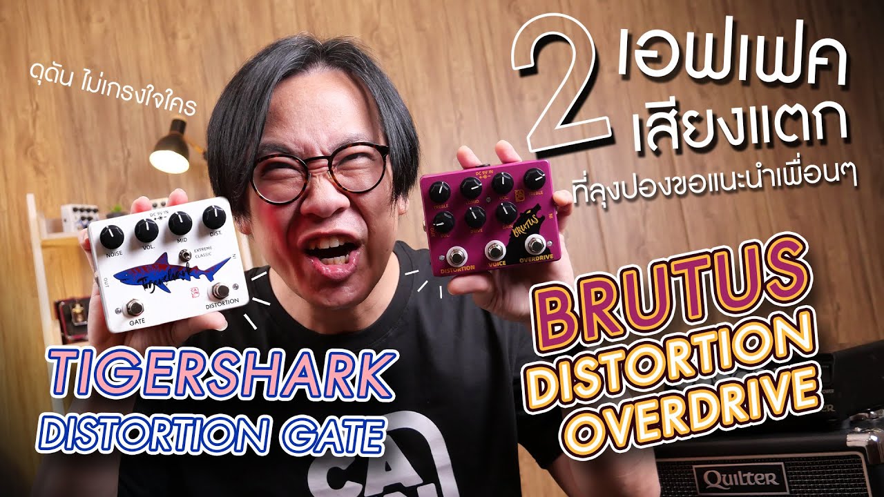 Calineเอฟเฟคเสียงแตกตัวเดียวมี 2เสียง|Caline-DCP02 DISTORTION OVERDRIVE|Caline-DCP09 DISTORTION GATE