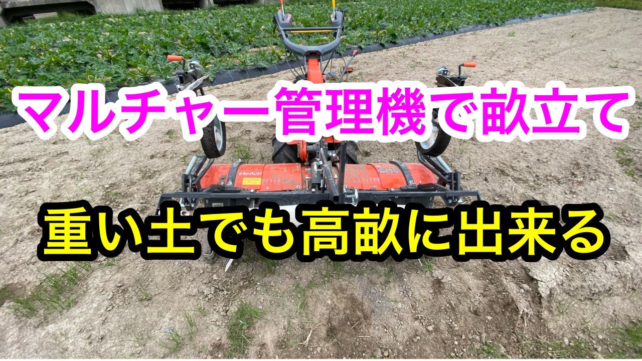 『畝立て作業』マルチャー管理機で畝立てをしています。2023年10月3日