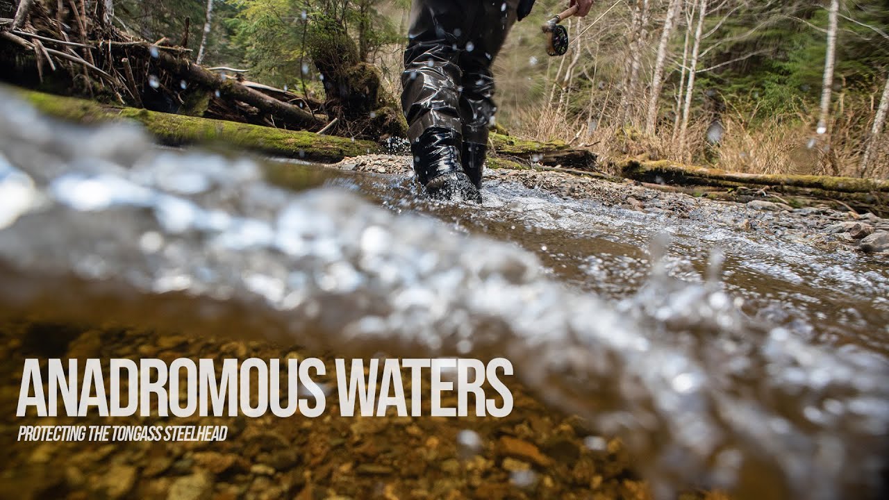 Anadromous Waters
