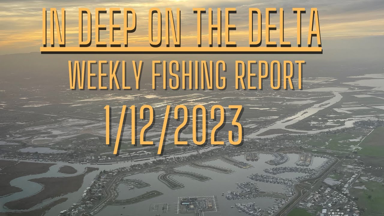 Weekly In Deep On The Delta Fishing Report for 1/12/2023.