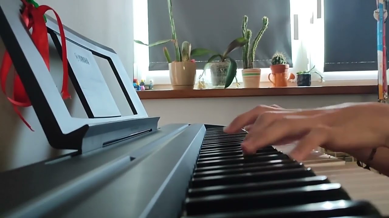 Everything is a Lot - Will Wood piano cover
