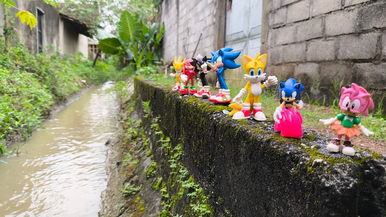 Sonic Hunter | Sonic Hedgehog | Knuckles | Tails | Super Sonic | Sonic Shadow | Metal Sonic | Amy