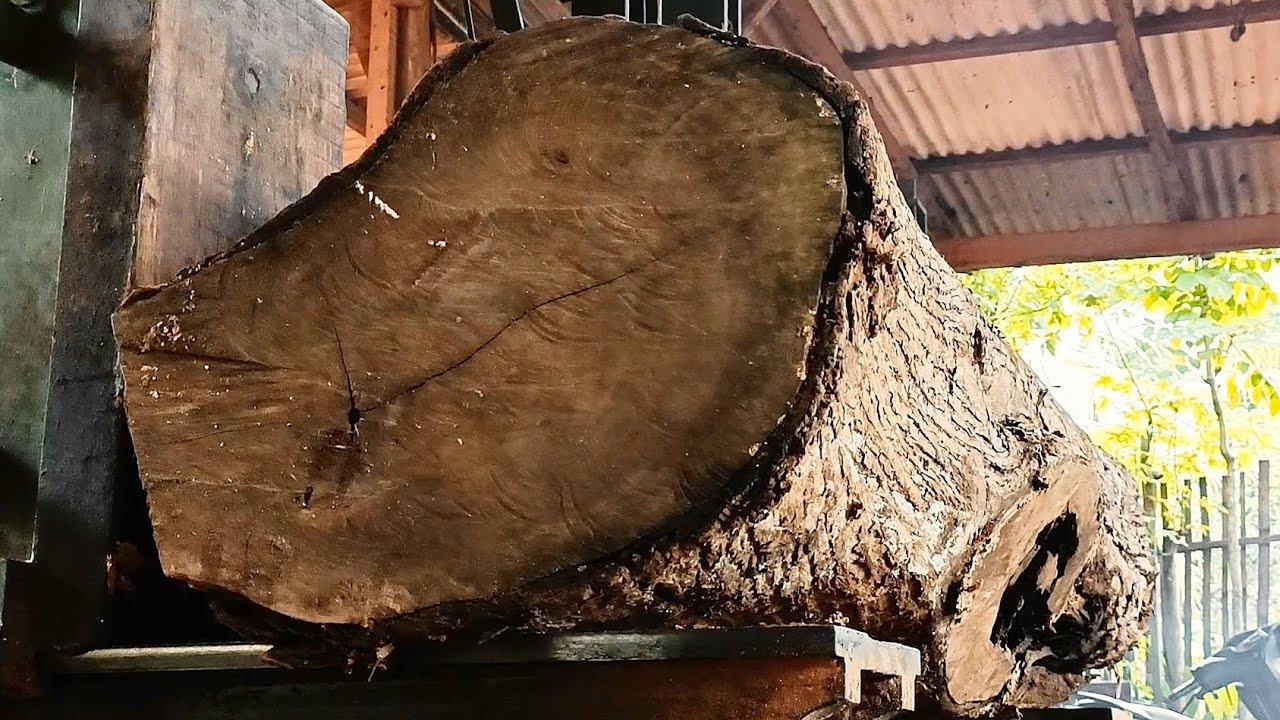 AMAZING!, Crazy action amazing wood waste processing techniques and high precision 