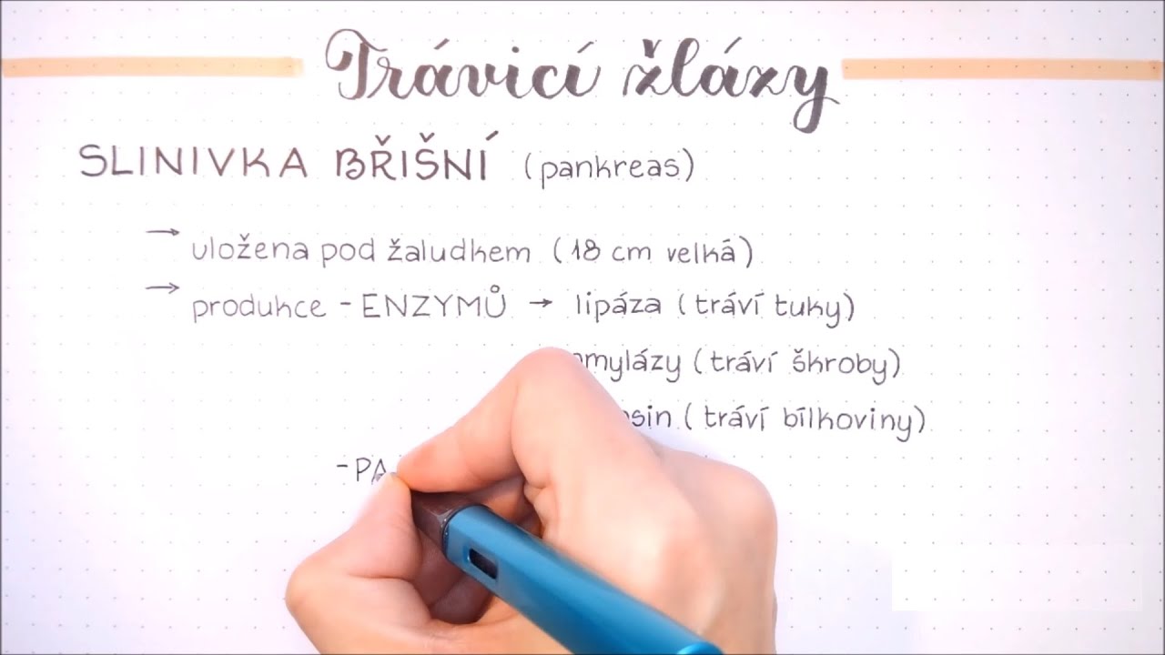 Trávicí soustava - Játra a Slinivka břišní