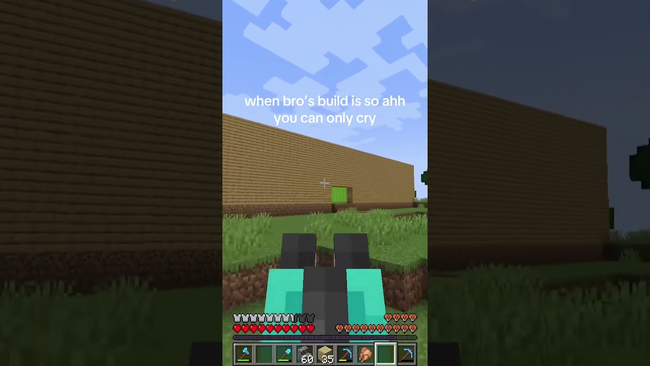 This is why Minecraft servers are so funny
