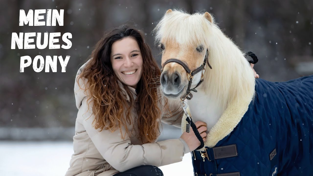 A PONY for CHRISTMAS?!