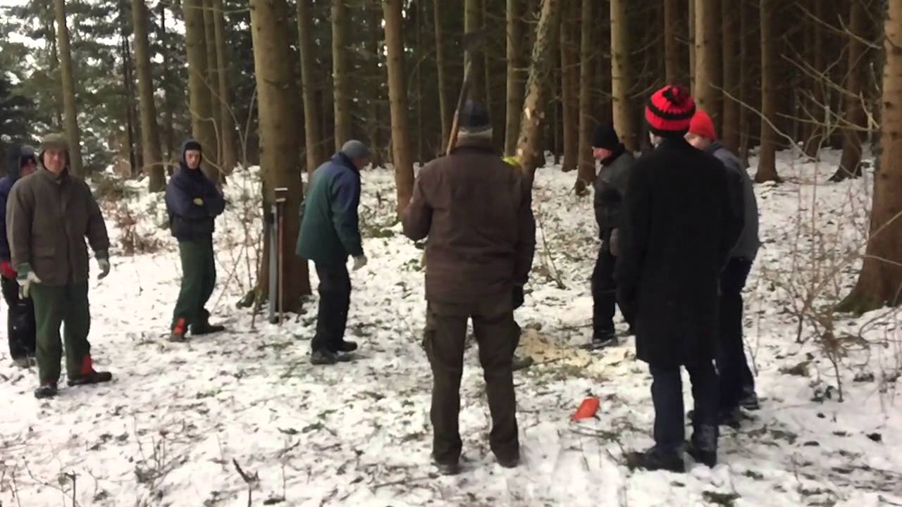 Narrenbaum holen 2015