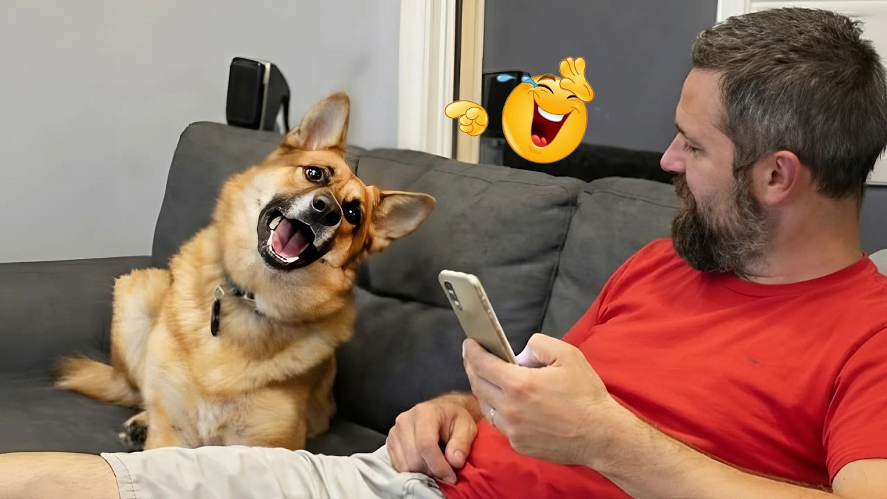 Hilarious Dogs That Will Make You Laugh Instantly 😂🐶 Funny Dog Video 2026