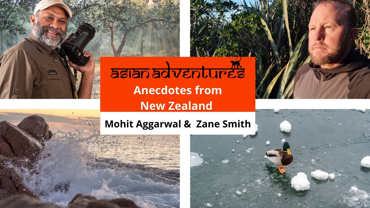 Ecotourism Anecdotes from Aotearoa - New Zealand - By Zane Smith with Asian Adventures