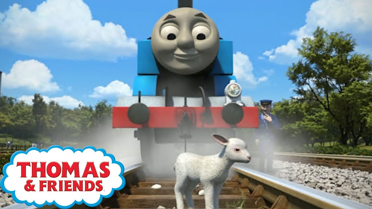 Thomas & Friends™ | Very Important Sheep | Best Train Moments | Cartoons for Kids