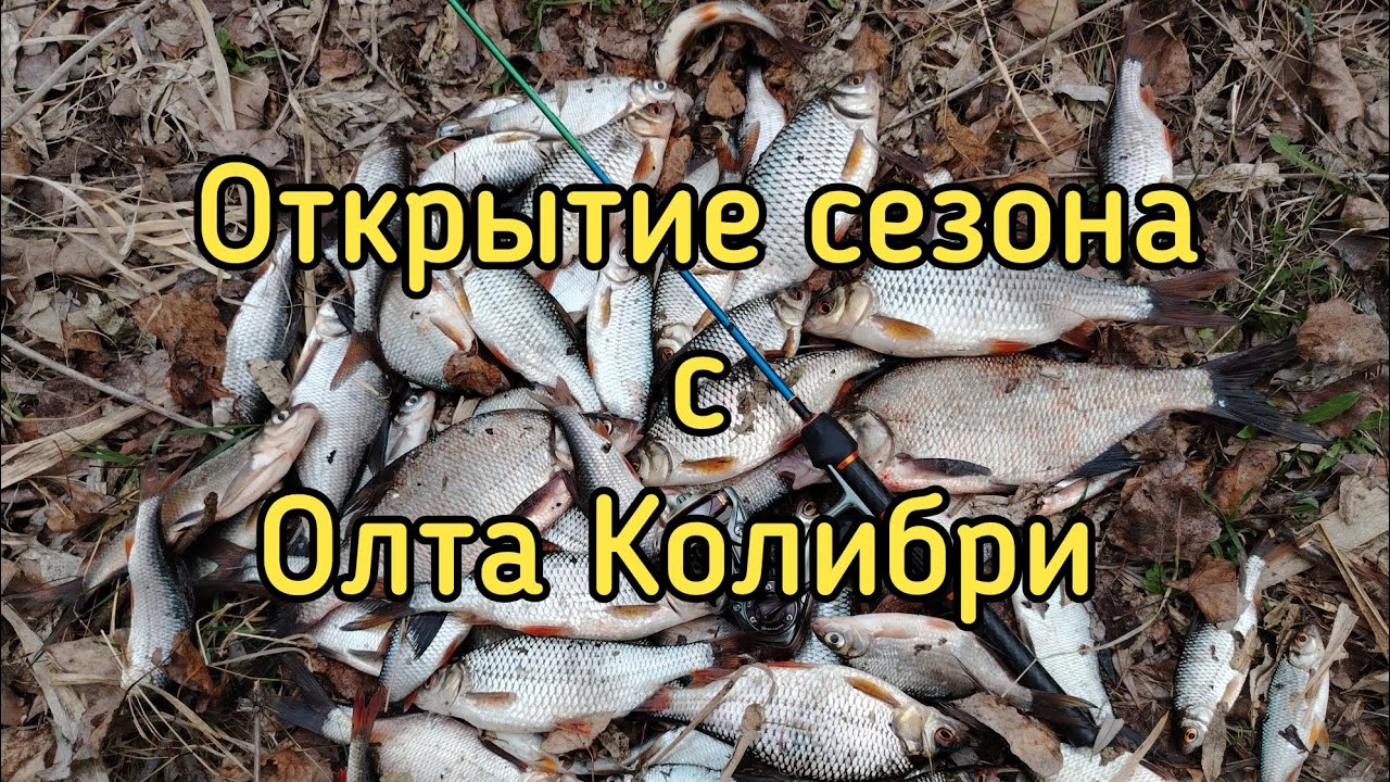 Открытие сезона. Олта Колибри 185 0.1 - 0.8 гр. и Олта Колибри тревел 185 0.1 - 0.8 гр.