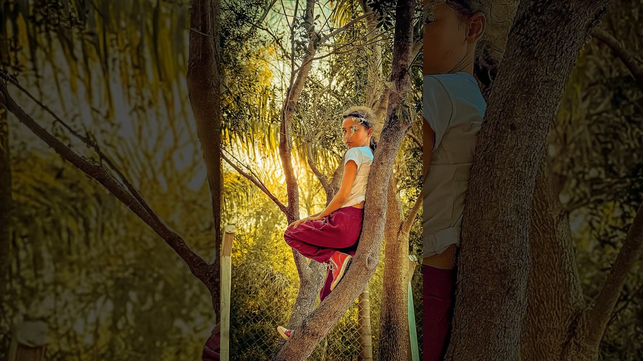 Fotografia natural com celular &ndash; sem edi&ccedil;&atilde;o profissional!  #mobilephotography #shortsvideo