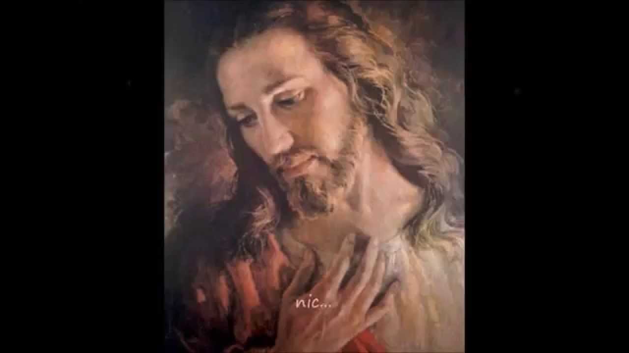Nic, nie musisz m&oacute;wić nic - Amicus Dei