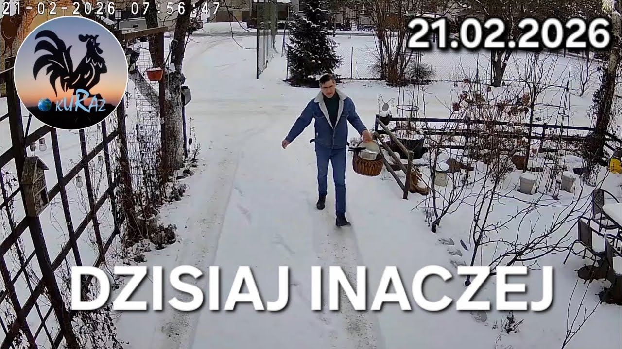 W Garden kuRaż * Widok z kamerek * 21.02.2026