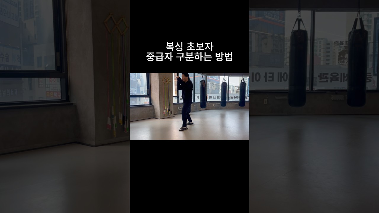 복싱 초보자 구분하는 방법