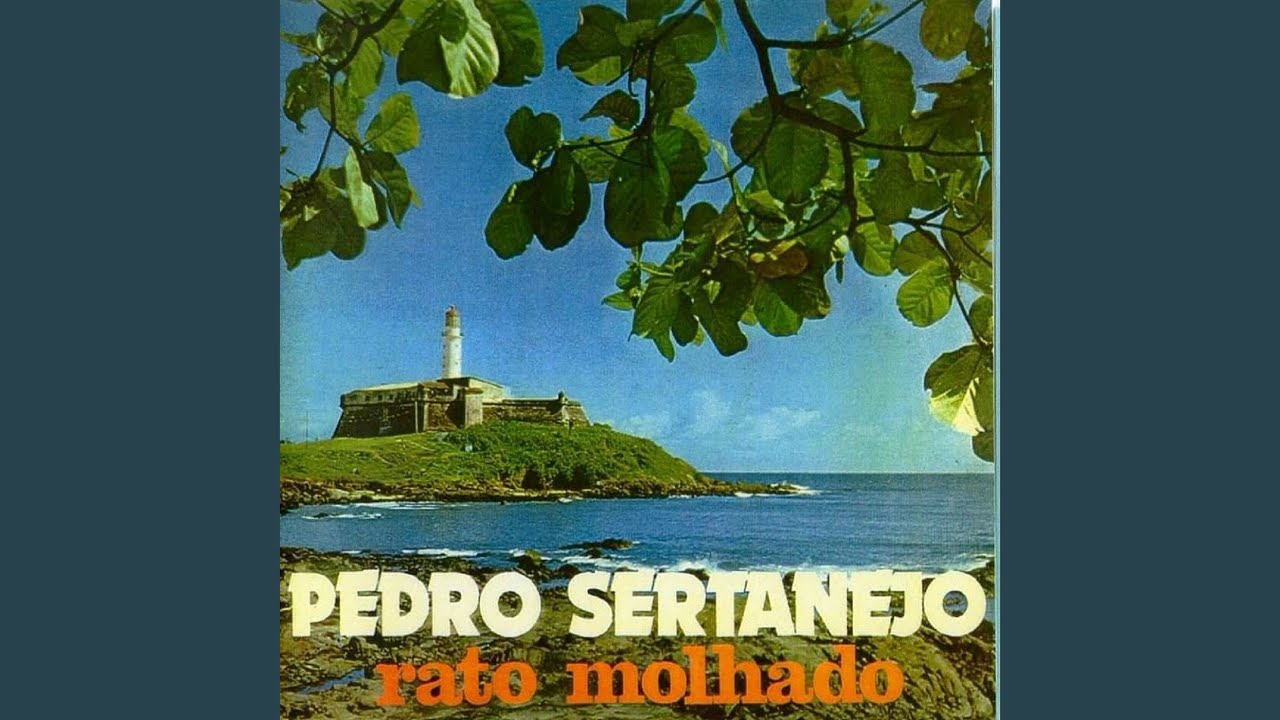 Rato Molhado