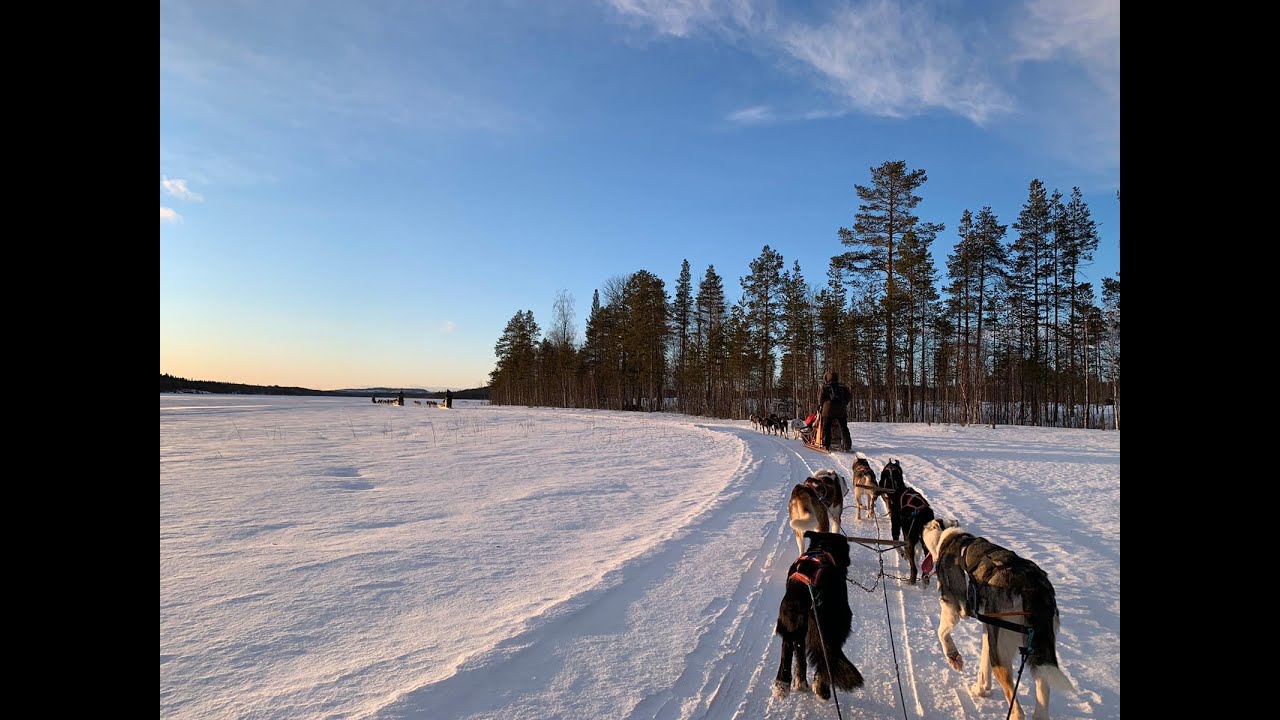 Groepsreizen Lapland