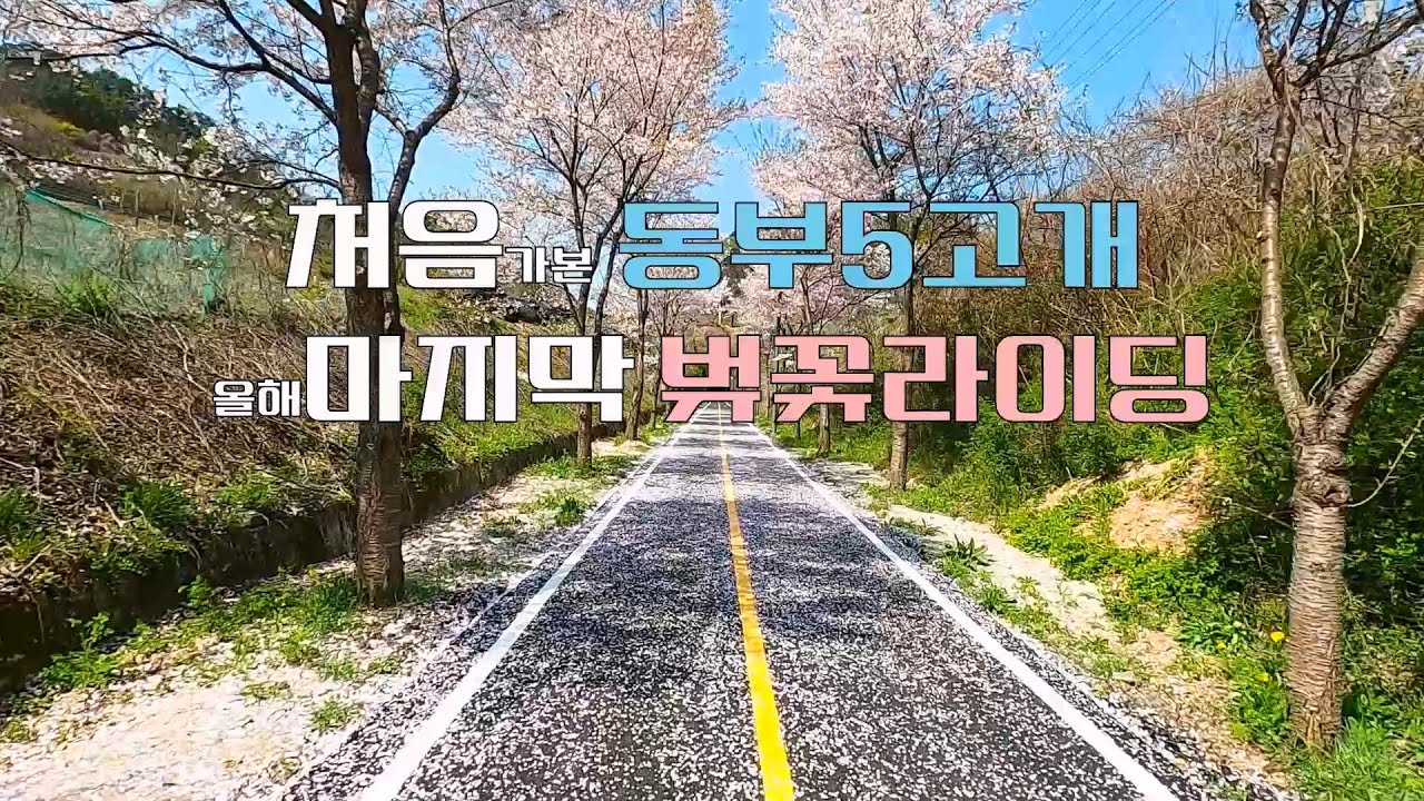 [라이딩31] 처음가본 동부5고개와 마지막 벚꽃라이딩