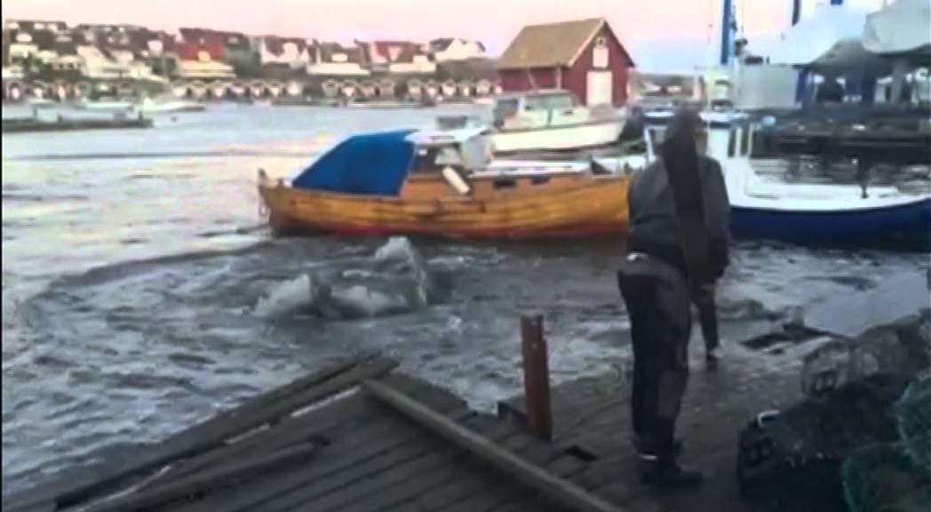 J&auml;tteval irrade in sig Kungshamn
