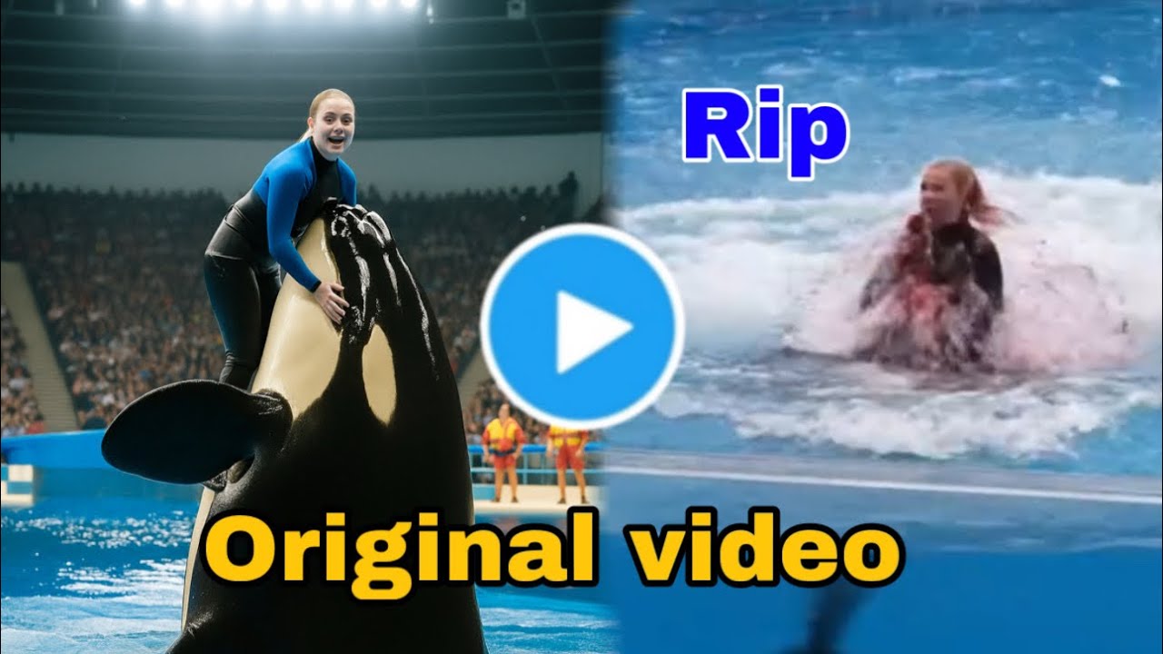 Jessica Radcliffe Video | Jessica Radcliffe Orca Attack |Jessica Radcliffe Video | Jessica Radcliffe