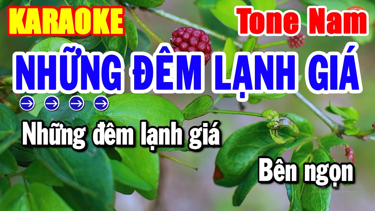 Karaoke Những Đêm Lạnh Giá Nhạc Sống Tone Nam Cha Cha Dễ Hát Nhất | Hải Tiên