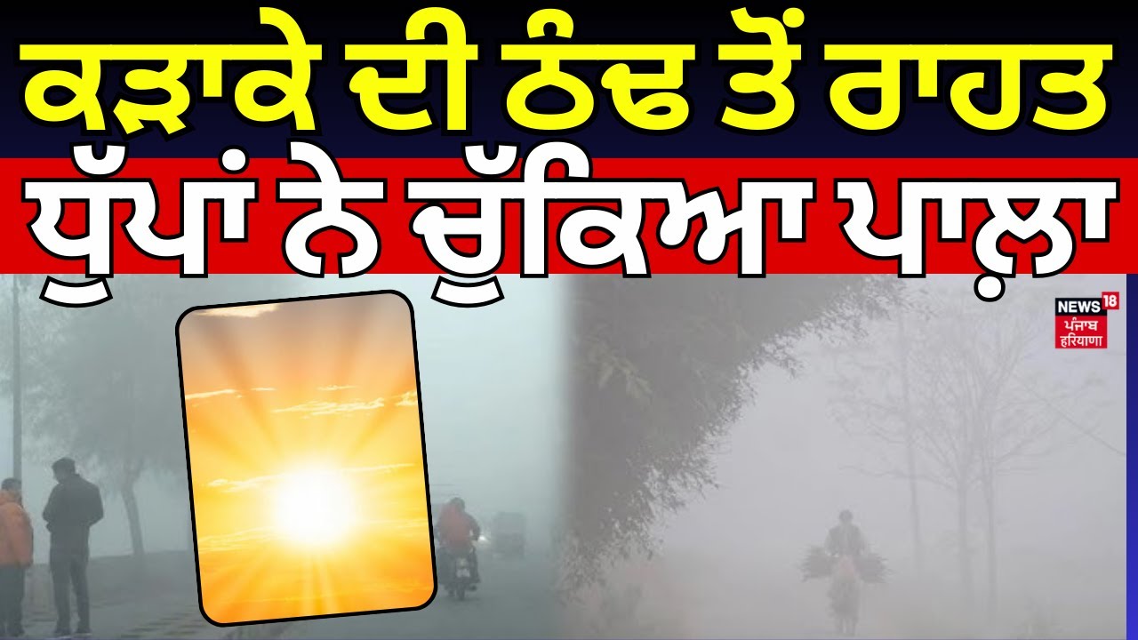 Punjab Weather Update | ਕੜਾਕੇ ਦੀ ਠੰਢ ਤੋਂ ਰਾਹਤ, ਧੁੱਪਾਂ ਨੇ ਚੁੱਕਿਆ ਪਾਲ਼ਾ  | IMD | Cold Wave | News18