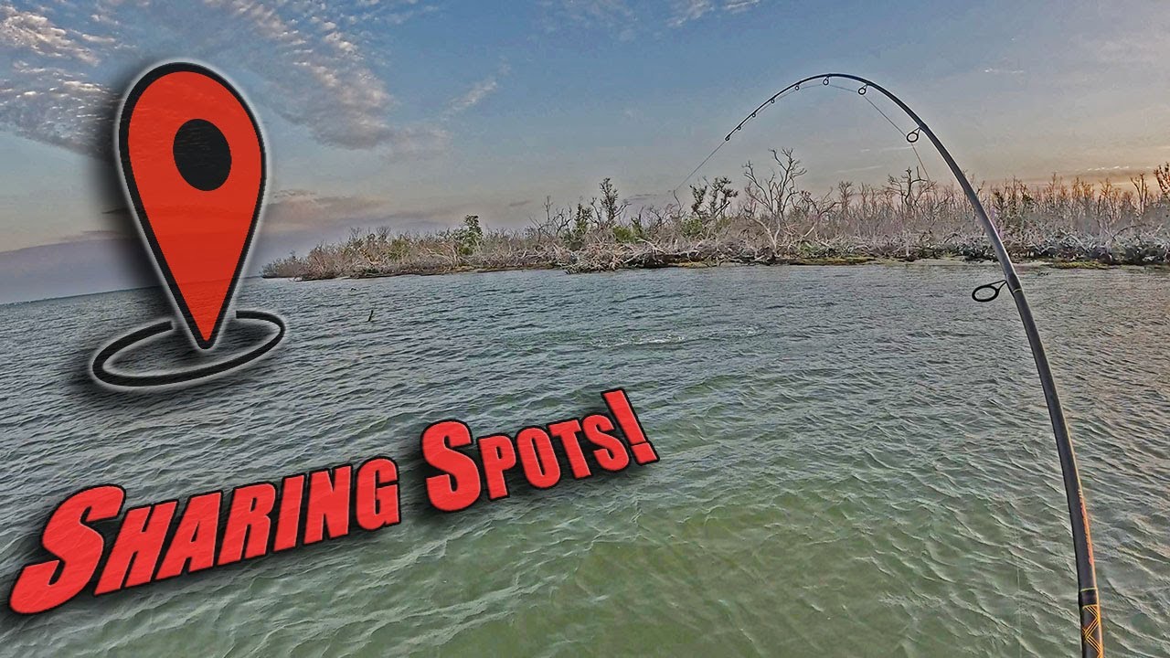 Spring Time Fishing For Redfish And Snook In Sanibel/ Pine Island sound.