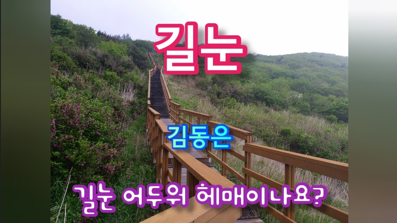 2018년 장윤정의 '초혼'보다 순위에 앞선 '김동은'의 '길눈'(어두워 헤매이나요?)노래 듣기, 제2의 진시몬