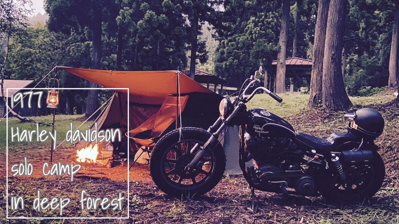 バイク ソロキャンツー Harley davidson shovel mountain forestpark