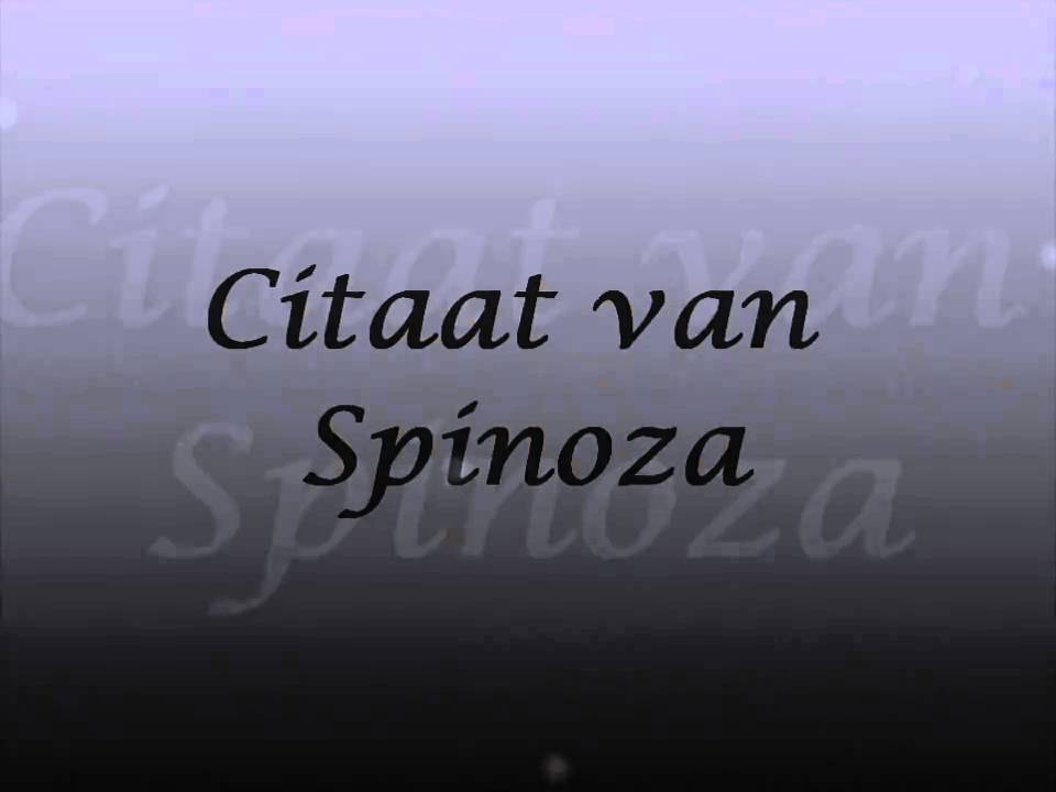 Filosofie citaat spinoza