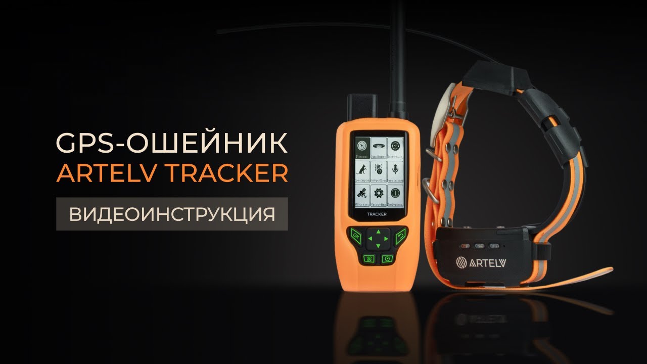 Работа с GPS-ошейником ARTELV TRACKER: всё, что нужно знать.