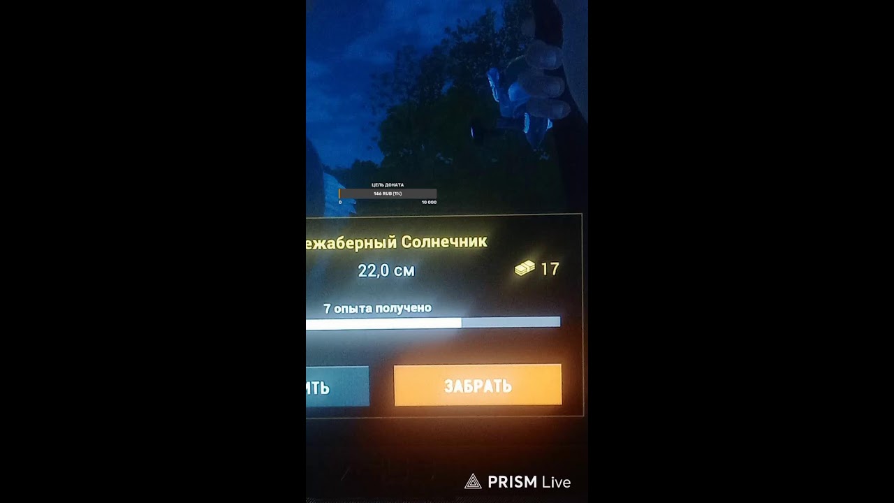 Fishing Planet Рыбалка Озере