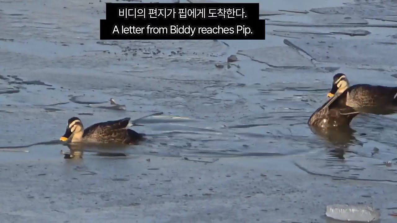 📚👉위대한 유산  찰스 디킨스 | 인생을 바꾸는 한 소년의 성장 이야기를 자막으로 만나는 고전소설 The Great Legacy  Charles Dickens 