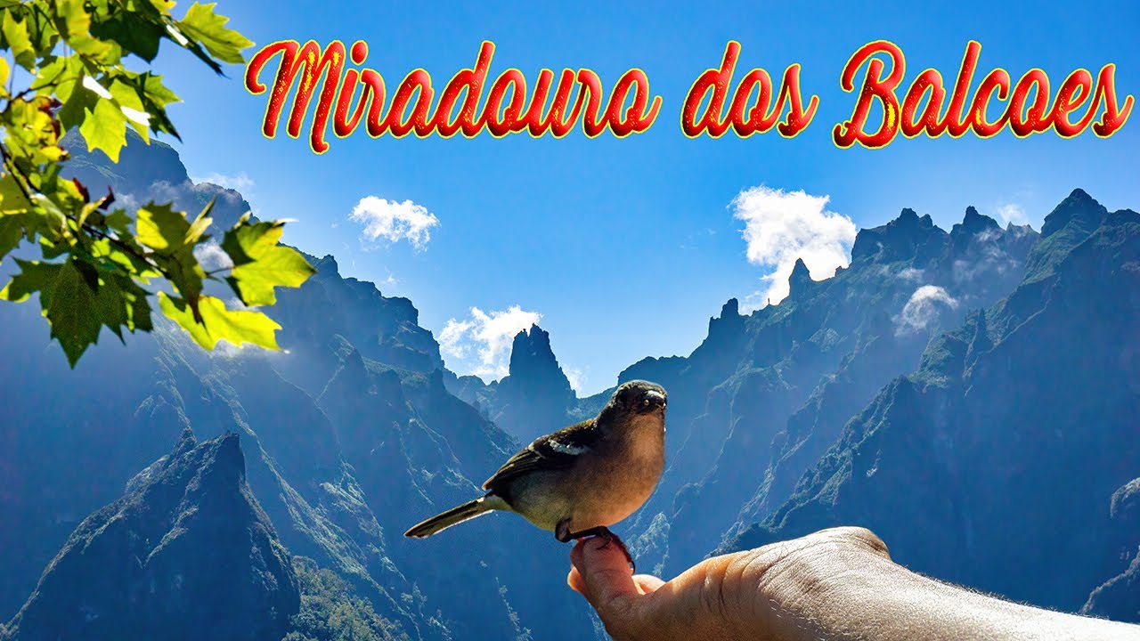 Madeira - Miradouro dos Balcões - Tour to the Spectacular Viewpoint 4K