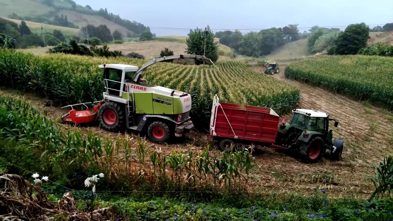 Corn Silage in The Azores 2018 - Claas Jaguar 870 Speedstar & John Deere/Fendt