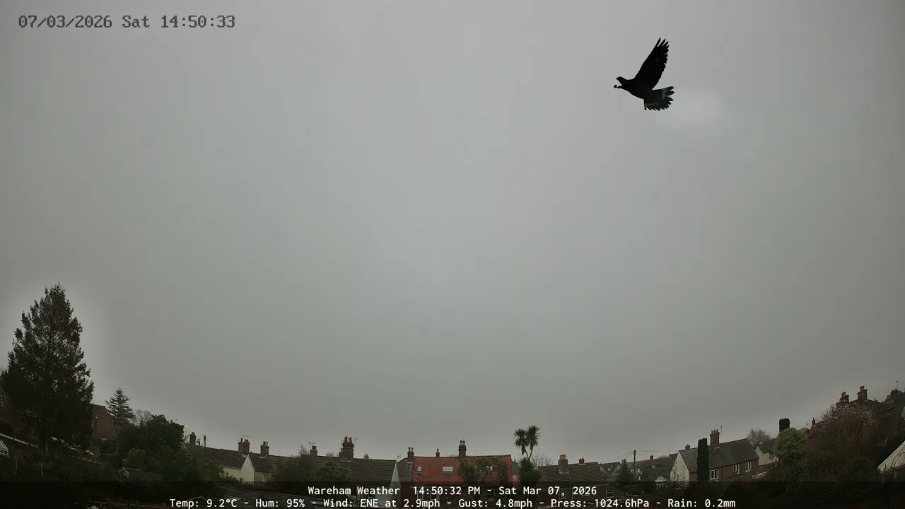 Wareham - Daily Time-lapse - 07/03/2026