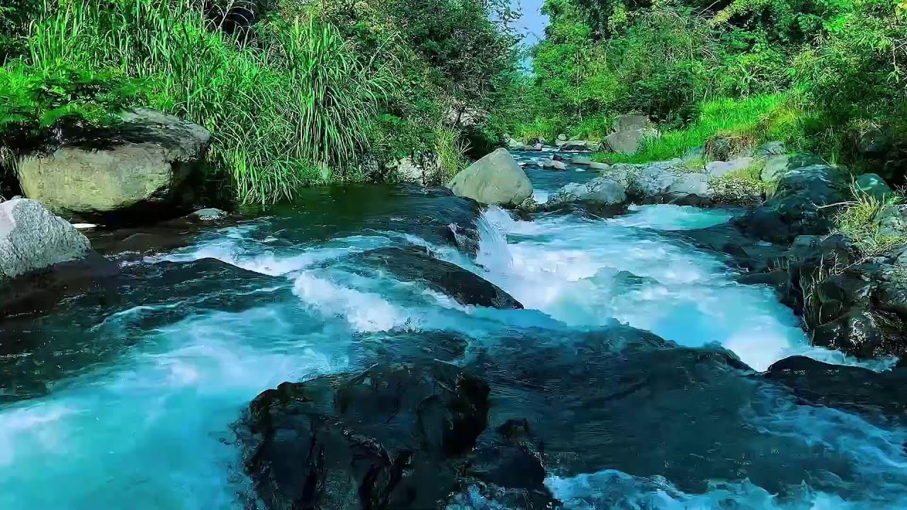 Forest River Water Audio, Mountain Stream Flowing, Sleep